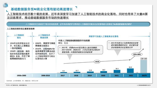 《德勤咨詢 人工智能基礎(chǔ)數(shù)據(jù)服務(wù)與軟件開(kāi)發(fā)白皮書(shū)》——構(gòu)筑智能時(shí)代的基石